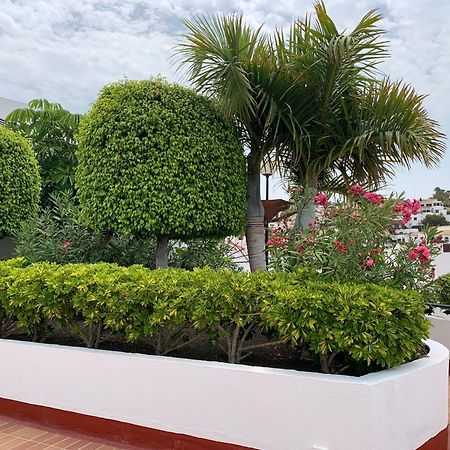 Ocean Breeze And Seaview Resort Costa Adeje  Exterior photo