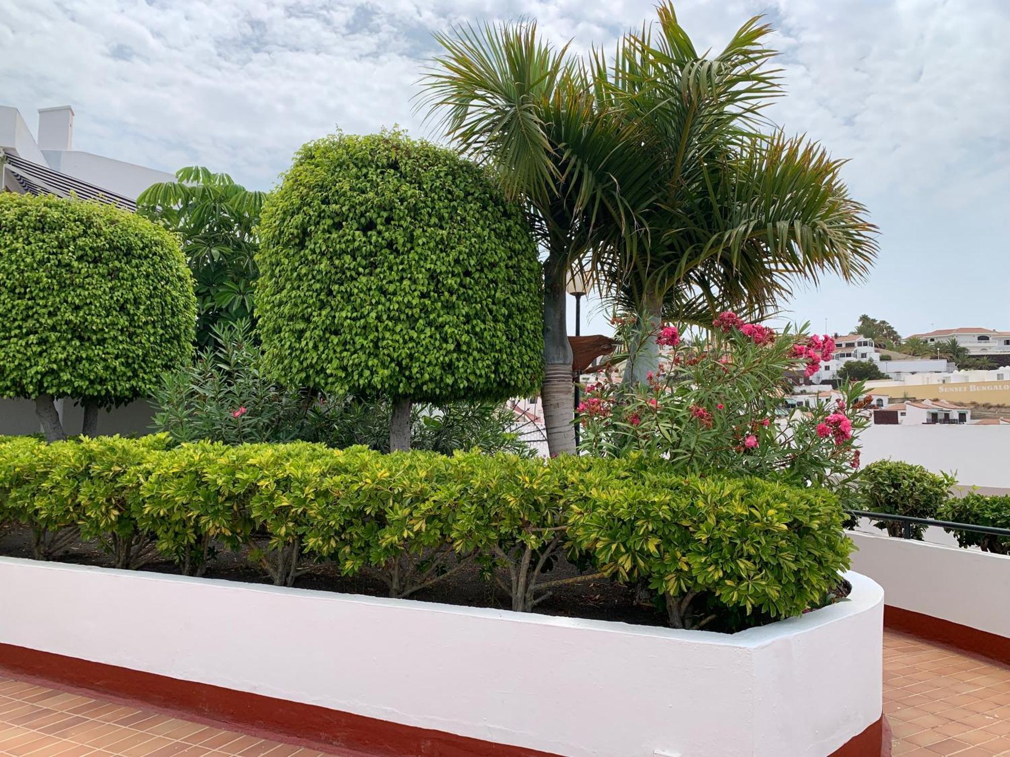 Ocean Breeze And Seaview Resort Costa Adeje  Exterior photo